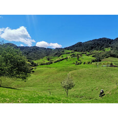 Finca En La Unión Antioquia Vía Abejorral 43 Hectáreas Val M2