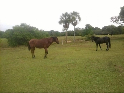 Cortijo de alto standing de 4800000 m2 en venta Tauramena, Departamento de Casanare