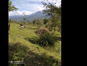 Lote en Venta vereda tunal Santafe de Antioquia