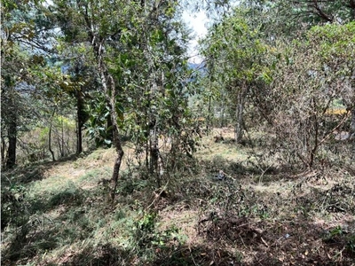 Terreno / Solar de 10000 m2 - Retiro, Departamento de Antioquia