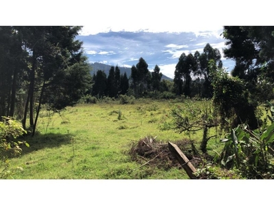 Terreno / Solar de 10036 m2 - Guarne, Departamento de Antioquia