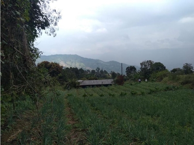 Terreno / Solar de 6400 m2 en venta - Medellín, Departamento de Antioquia
