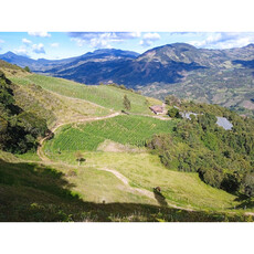 Venta De Finca En Abejorral