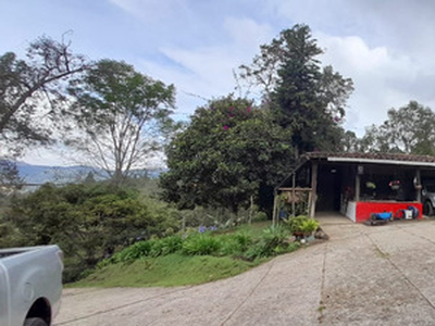 Linda Casa Finca En Venta En La Vereda El Sango Guarne Antioquia