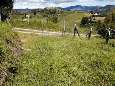 Lote En Venta O Permuta Vereda El Salto Municipio Del Peñol Antioquia