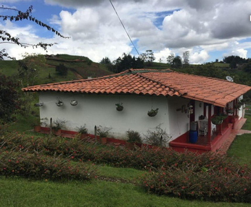 Se Vende Hermosa Finca Tradicional En El Sector Los Pinos Rionegro