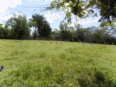 Terreno en Venta en Sur, Purificación, Tolima