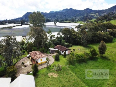 Villa / Chalet de 150 m2 en venta en La Ceja, Colombia