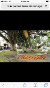 Arrendó Casa grande para desarrollar actividades Económicas Parque Lineal cartag - Cartago