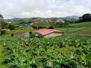 Finca en venta en Pereira