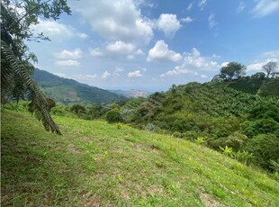 Lote en venta en Quindío