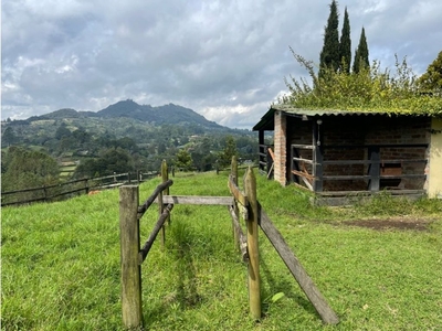 Cortijo de alto standing de 34500 m2 en venta Rionegro, Departamento de Antioquia