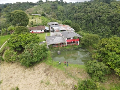 Cortijo de alto standing en venta Filandia, Colombia