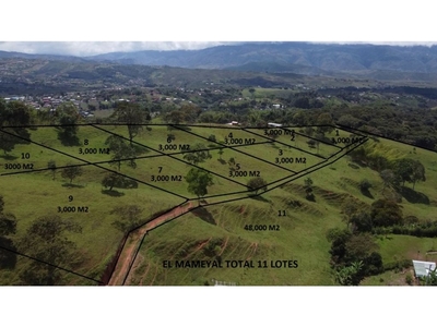 Terreno / Solar de 116950 m2 en venta - Dagua, Colombia