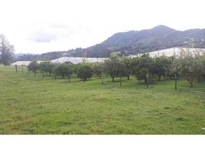 Terreno / Solar de 217600 m2 en venta - Rionegro, Departamento de Antioquia