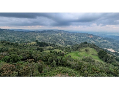Terreno / Solar de 51210 m2 - Rionegro, Colombia