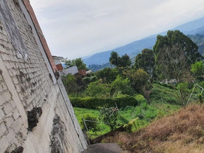 Vendo Lote Por El Parque Principal De Palestina, Caldas