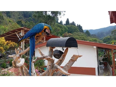 Piso de lujo de 78 m2 en alquiler en Envigado, Colombia