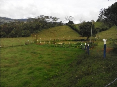 Terreno / Solar de 19000 m2 en venta - Guarne, Departamento de Antioquia