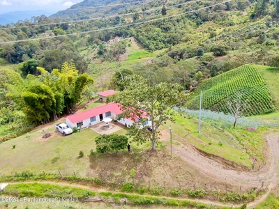 Casa en Venta en Vereda La Judea, Municipio Quipile, Cundinamarca