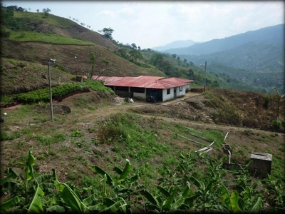 Finca en Venta en Oriente, Belén De Umbría, Risaralda