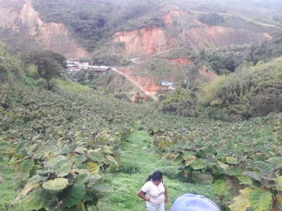 Terreno en Venta en Norte, Restrepo, Valle Del Cauca