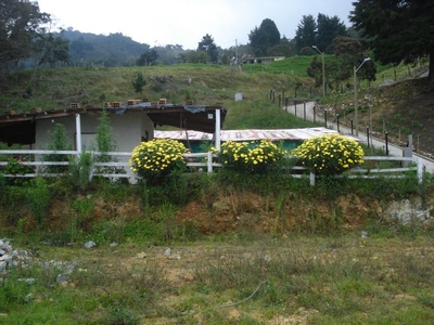 Lote en Venta en Vereda Yolombo, Medellín, Antioquia