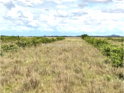 Finca en Venta, Puerto Carreño