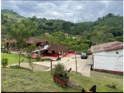 Cortijo de alto standing de 320000 m2 en venta Andes, Departamento de Antioquia