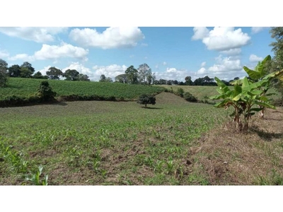 Cortijo de alto standing de 76800 m2 en venta Montenegro, Quindío Department