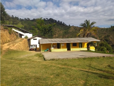 Cortijo de alto standing de 464000 m2 en venta Ciudad Bolívar, Departamento de Antioquia