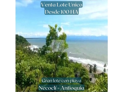 Terreno / Solar de 100 m2 - Necocli, Departamento de Antioquia