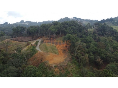 Terreno / Solar de 10000 m2 - Rionegro, Departamento de Antioquia