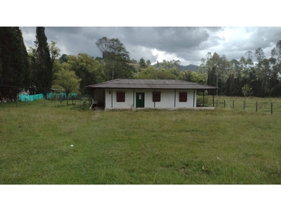 Terreno / Solar de 17612 m2 en venta - Guarne, Colombia