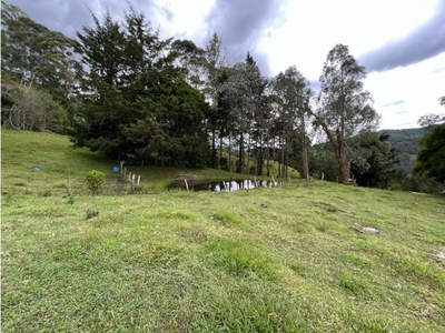 Terreno / Solar de 18000 m2 en venta - Retiro, Colombia