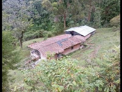 Terreno / Solar de 19000 m2 en venta - La Estrella, Colombia
