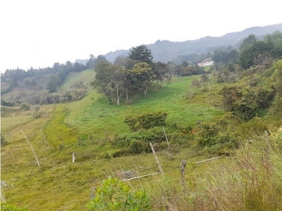 Terreno / Solar de 20000 m2 - Rionegro, Departamento de Antioquia