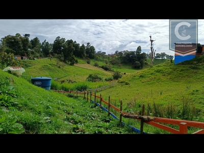 Terreno / Solar de 23000 m2 en venta - San Pedro, Departamento de Antioquia