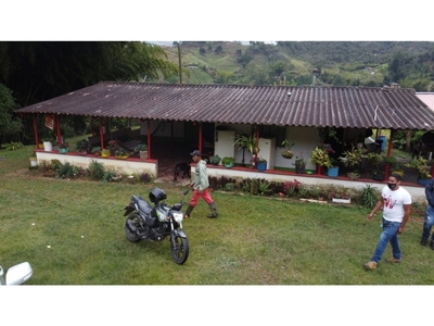 Terreno / Solar de 23900 m2 en venta - Guatapé, Departamento de Antioquia