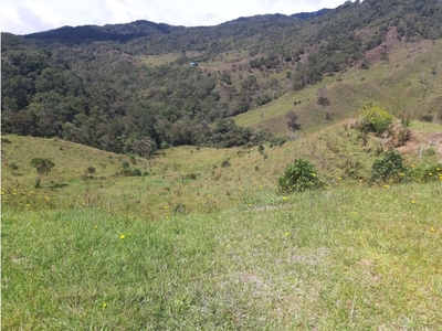 Terreno / Solar de 300000 m2 - Santuario, Departamento de Antioquia