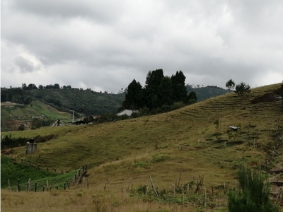 Terreno / Solar de 39000 m2 - Guarne, Departamento de Antioquia