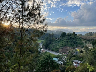 Terreno / Solar de 39800 m2 - La Ceja, Departamento de Antioquia