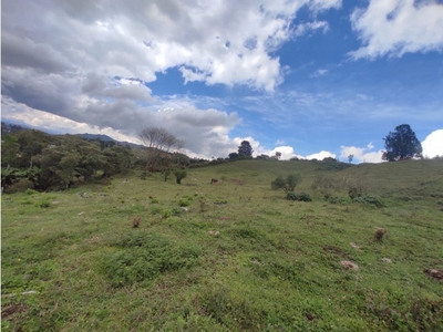 Terreno / Solar de 40000 m2 - Rionegro, Departamento de Antioquia