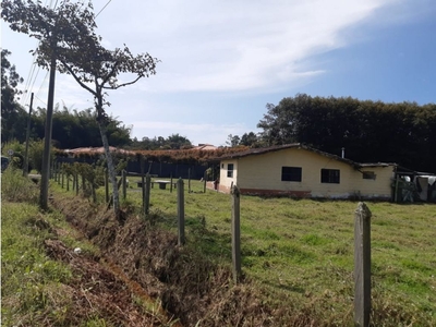 Terreno / Solar de 5800 m2 - Rionegro, Departamento de Antioquia