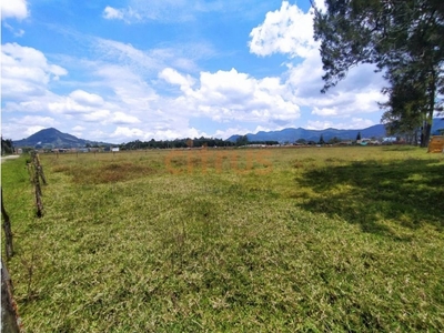 Terreno / Solar de 60000 m2 en venta - La Ceja, Departamento de Antioquia