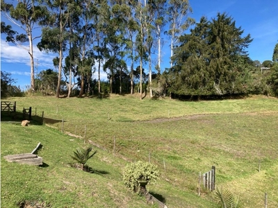 Terreno / Solar de 7000 m2 - Envigado, Departamento de Antioquia