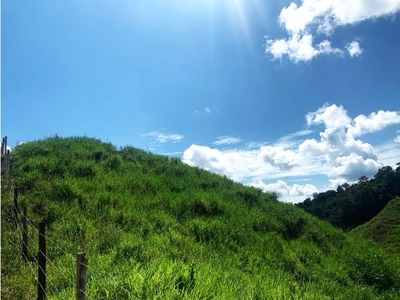 Terreno / Solar de 70400 m2 - Anapoima, Cundinamarca