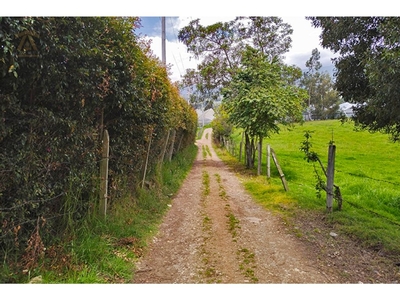 Terreno / Solar - Cogua, Colombia