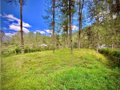 Terreno / Solar de 7811 m2 - Retiro, Departamento de Antioquia