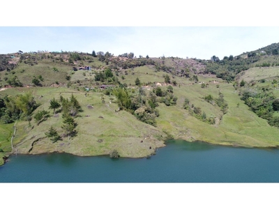 Terreno / Solar de 82300 m2 - Guatapé, Colombia